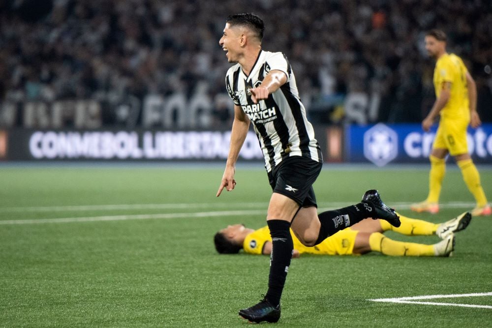 Botafogo Faz Hist Ria Ao Avan Ar Para A Final Da Libertadores Ap S