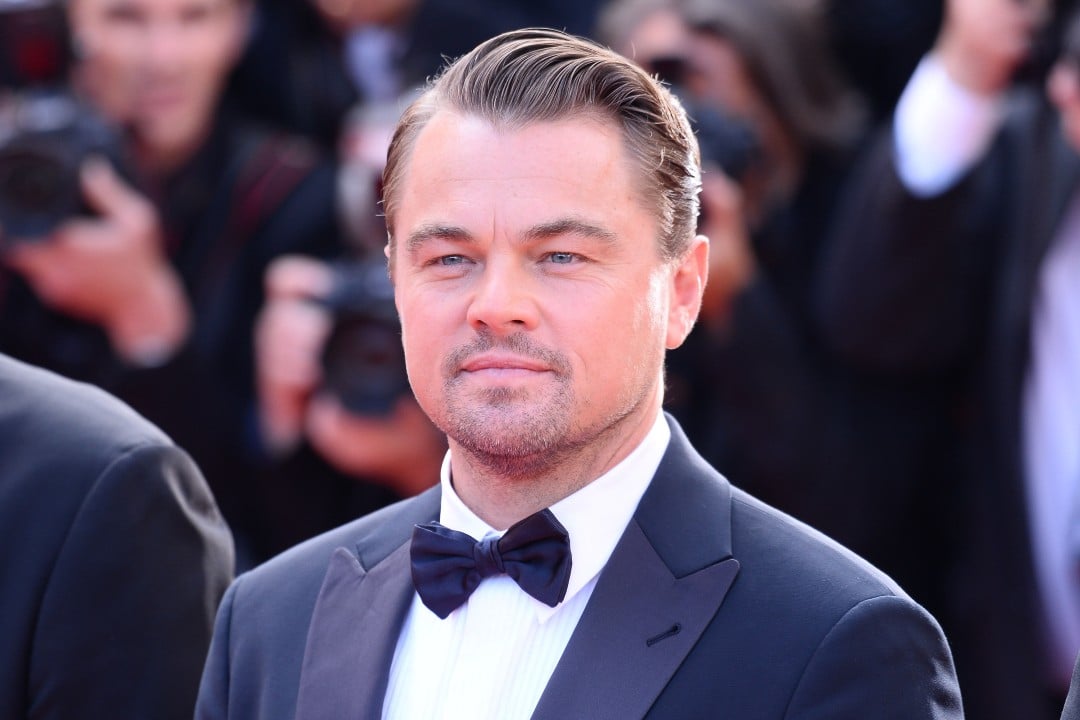 Leonardo DiCaprio - Figure 1